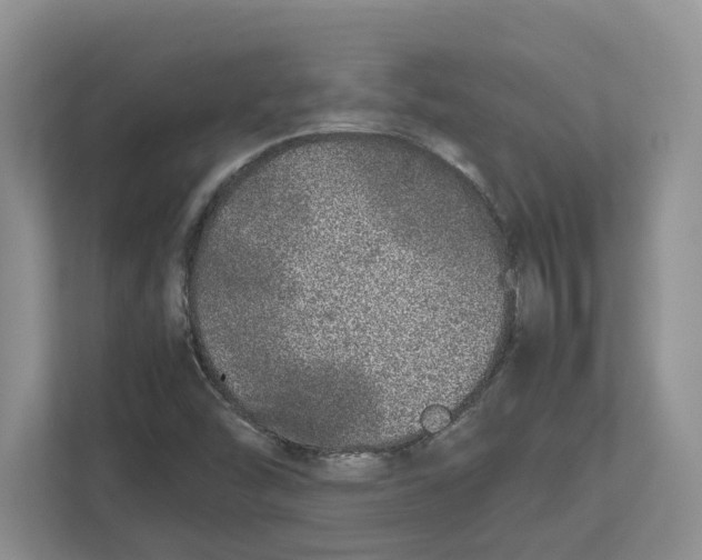 X0000112491454200909141154