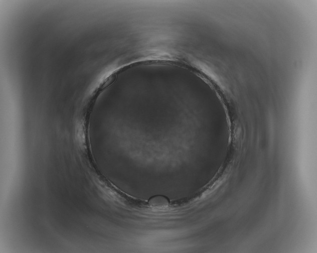 X0000112491455200909141154
