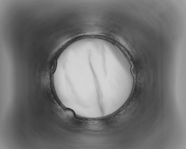 X0000112491456200909141154