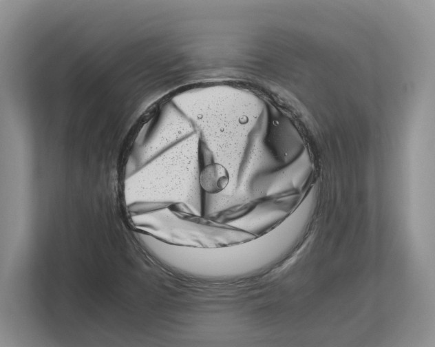 X0000112491457200909141154