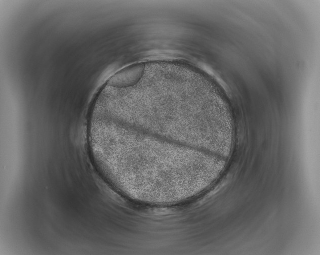 X0000112491459200909141154