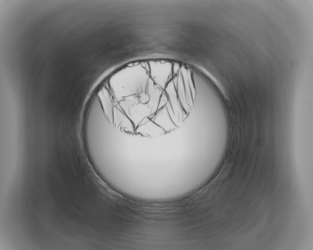 X0000112491460200909141154