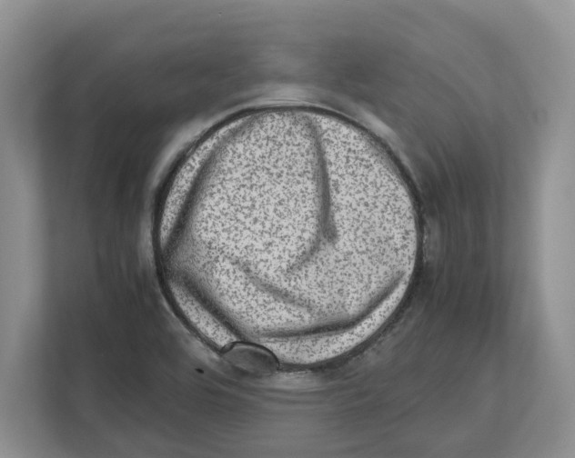X0000112491464200909141154