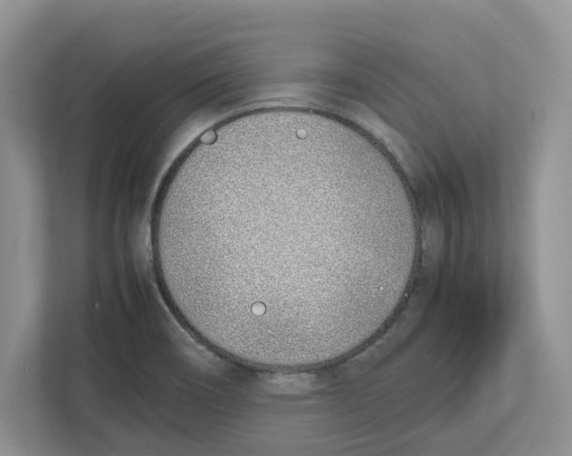 X0000112491466200909141154