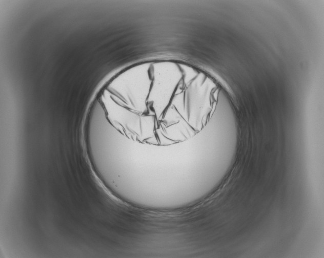 X0000112491468200909141154