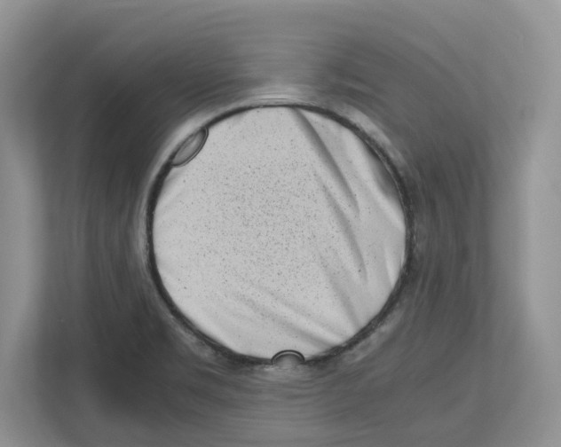 X0000112491469200909141154