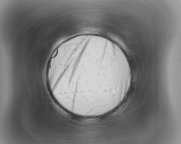 X0000112491471200909141154