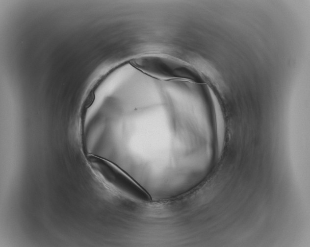 X0000112491472200909141154