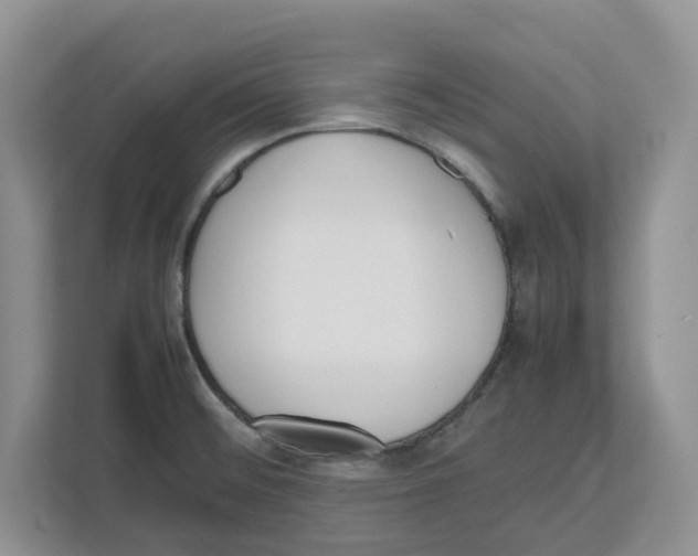 X0000112491476200909141154