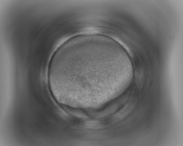 X0000112491477200909141154