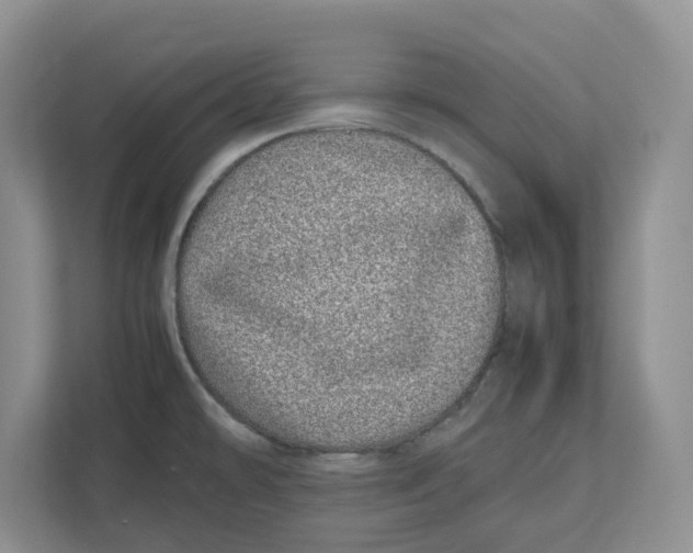 X0000112491478200909141154