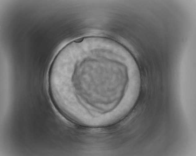 X0000112491479200909141154