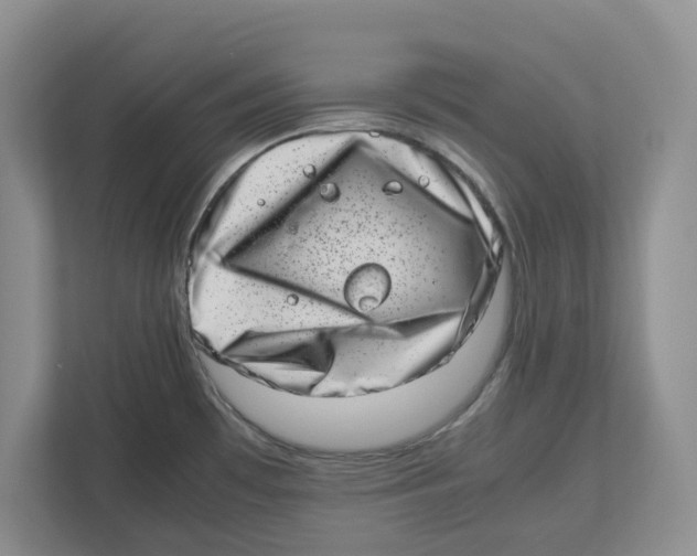 X0000112491481200909141154