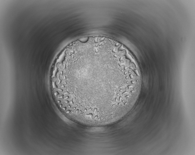 X0000112491482200909141154