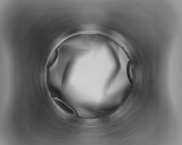 X0000112491484200909141154