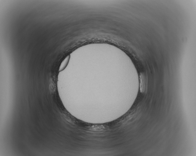 X0000112491491200909141153