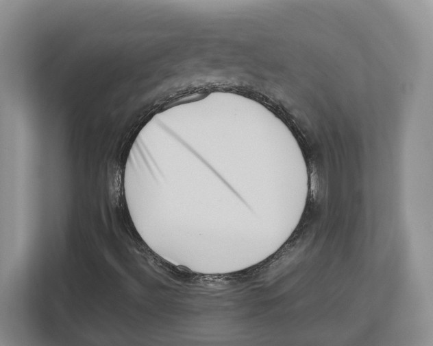 X0000112491492200909141153