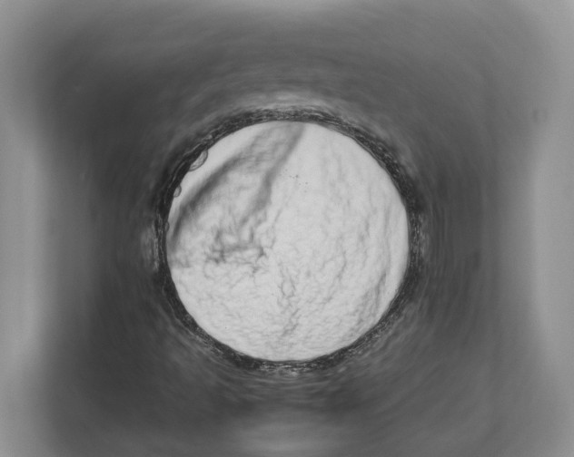 X0000112491493200909141153