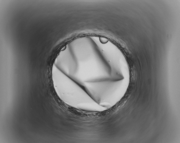 X0000112491494200909141153