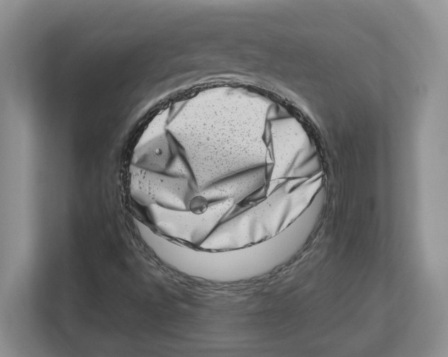 X0000112491496200909141153