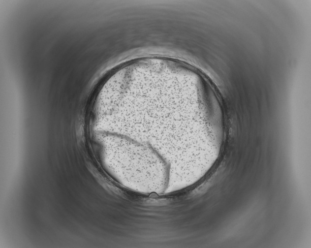 X0000112491499200909141153