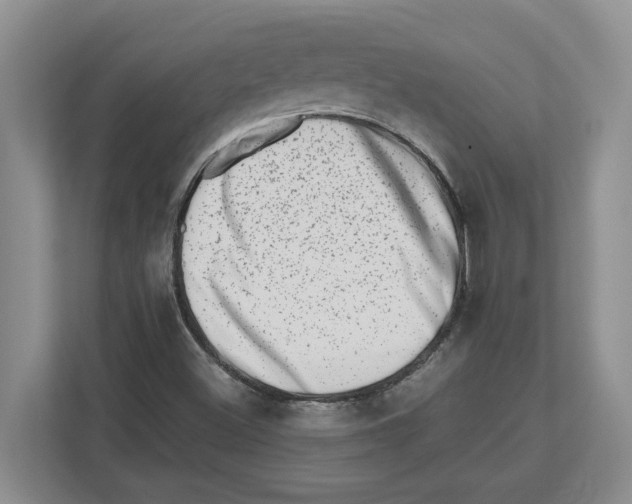X0000112491500200909141153