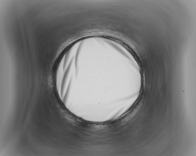 X0000112491501200909141153