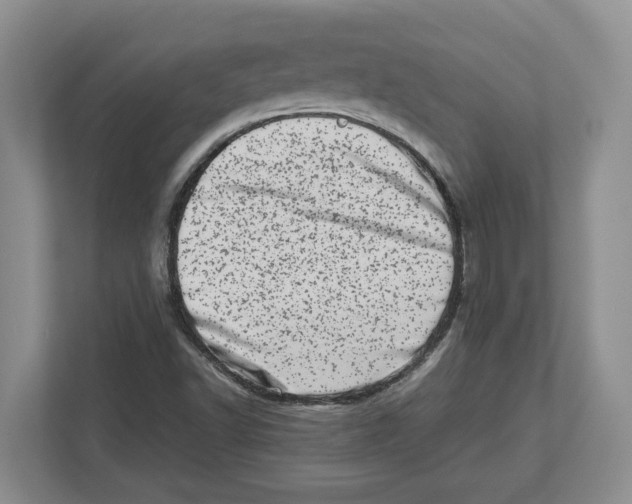 X0000112491502200909141153