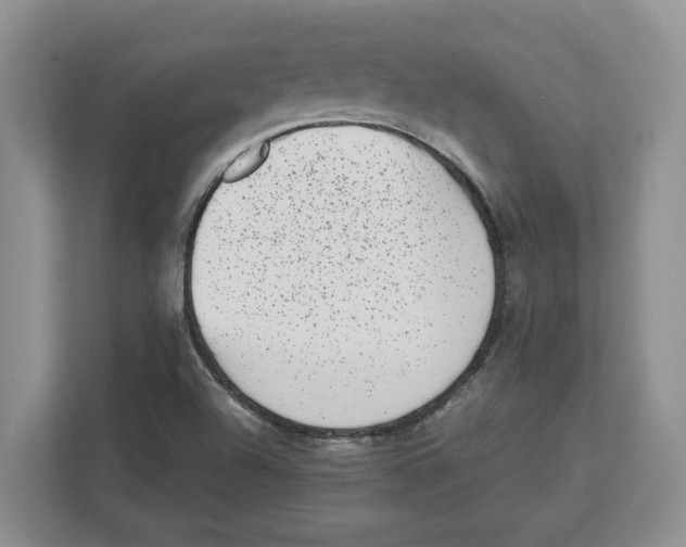 X0000112491504200909141153