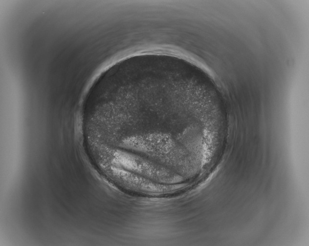 X0000112491506200909141153