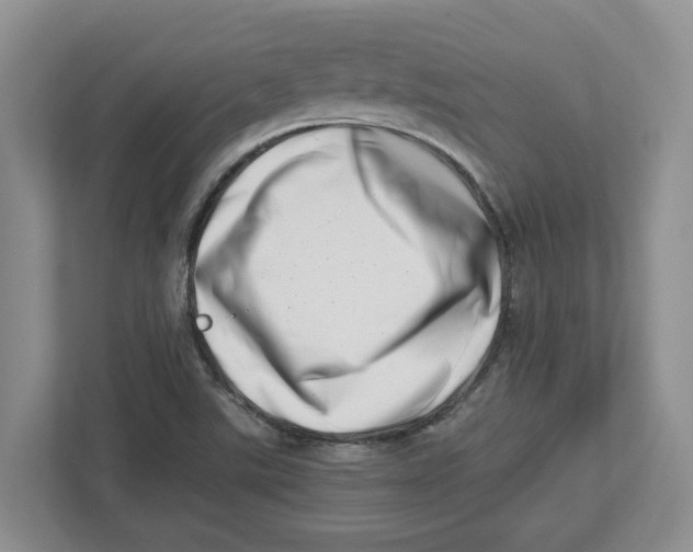 X0000112491507200909141153