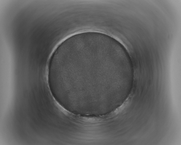 X0000112491508200909141153