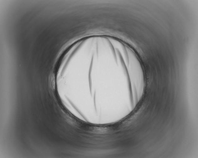 X0000112491509200909141153