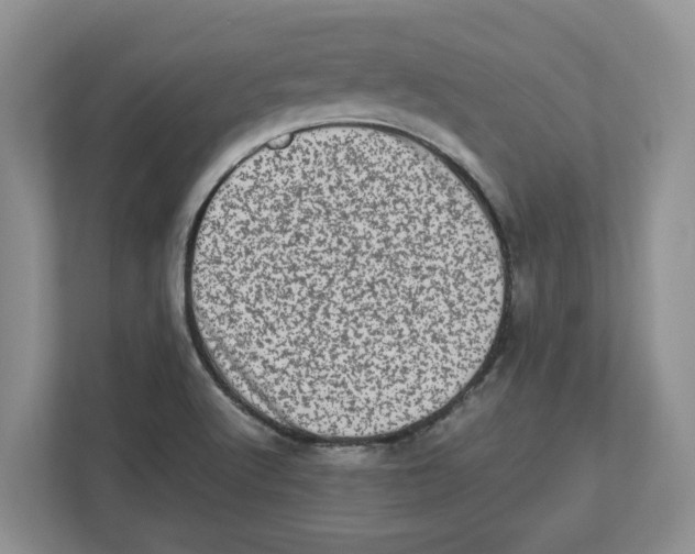 X0000112491512200909141153