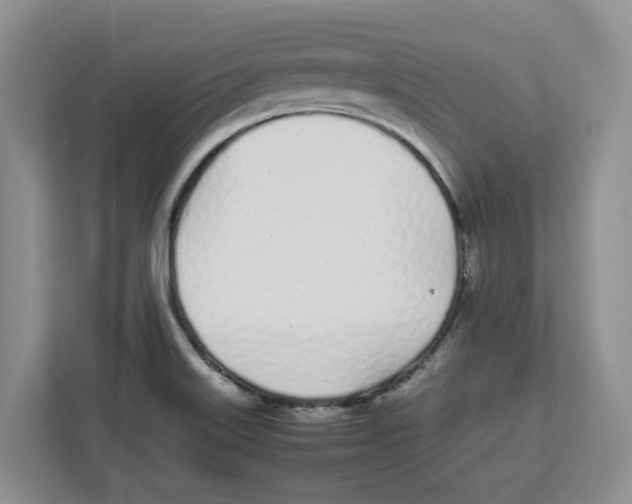X0000112491515200909141153