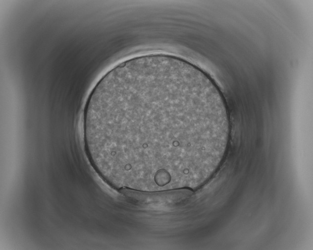 X0000112491516200909141153