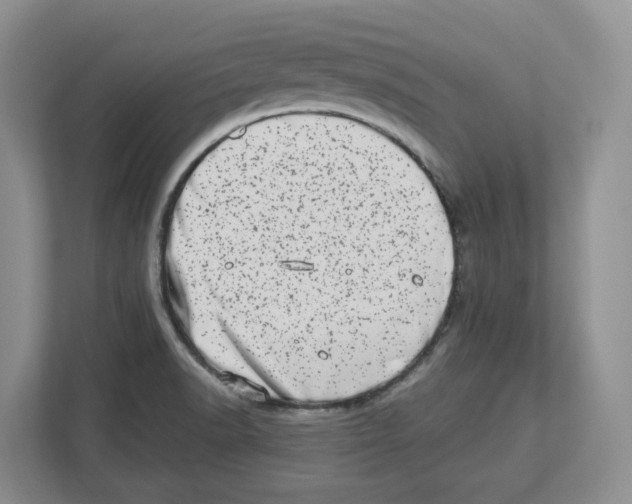 X0000112491518200909141153