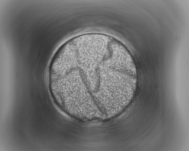 X0000112491519200909141153