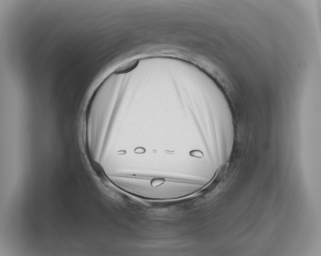 X0000112491520200909141153