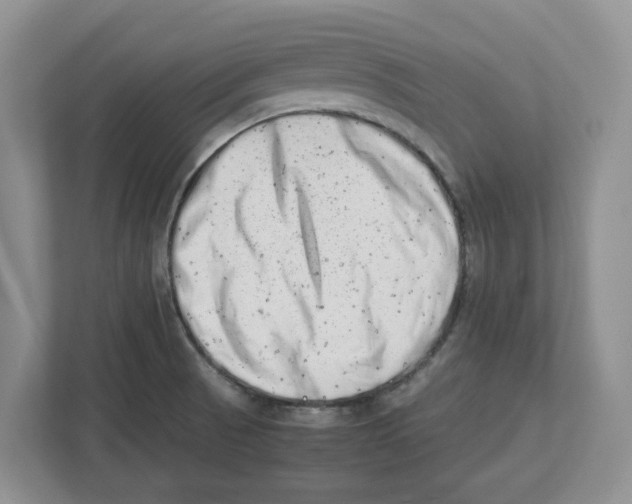 X0000112491521200909141153