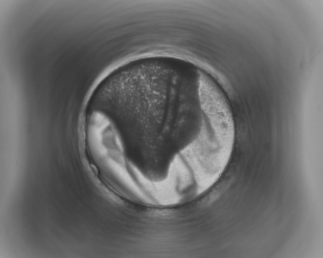 X0000112491522200909141153