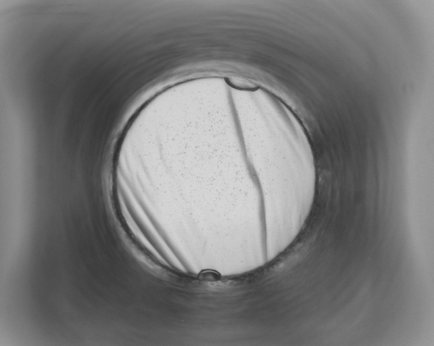 X0000112491523200909141153