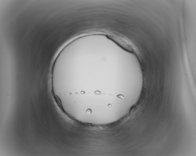 X0000112491524200909141153