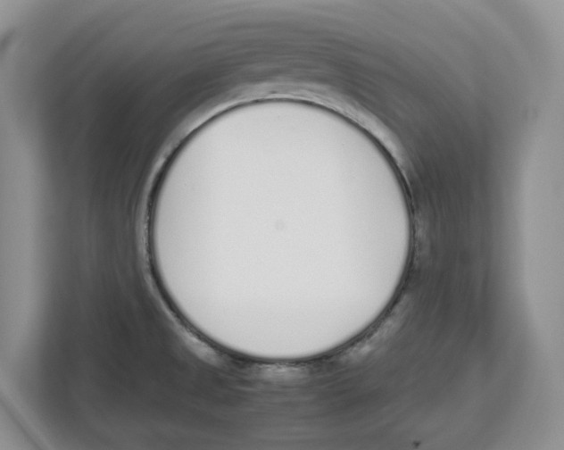 X0000112491525200909141153