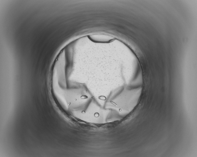 X0000112491526200909141153