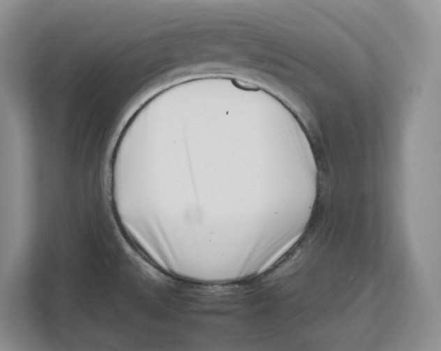 X0000112491527200909141153