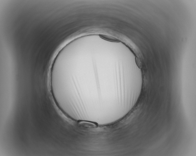 X0000112491528200909141153