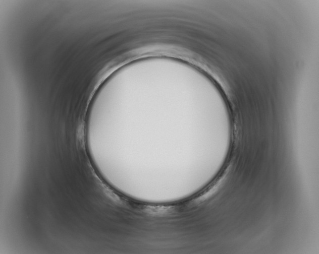 X0000112491529200909141153