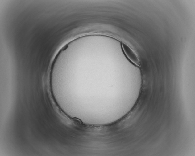 X0000112491530200909141153