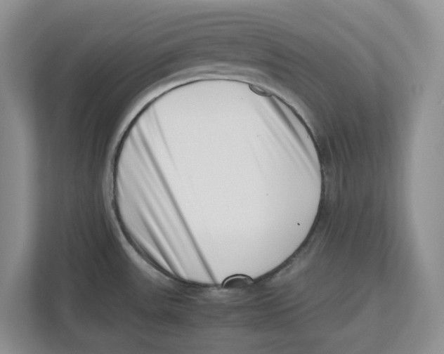 X0000112491531200909141153